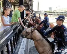 乐鱼体育官网-皇家社会训练开放日，窗口期远射贴柱引欢呼，欧超杯在即，赛程密集仍需轮换(日常生活活动能力训练实训报告)